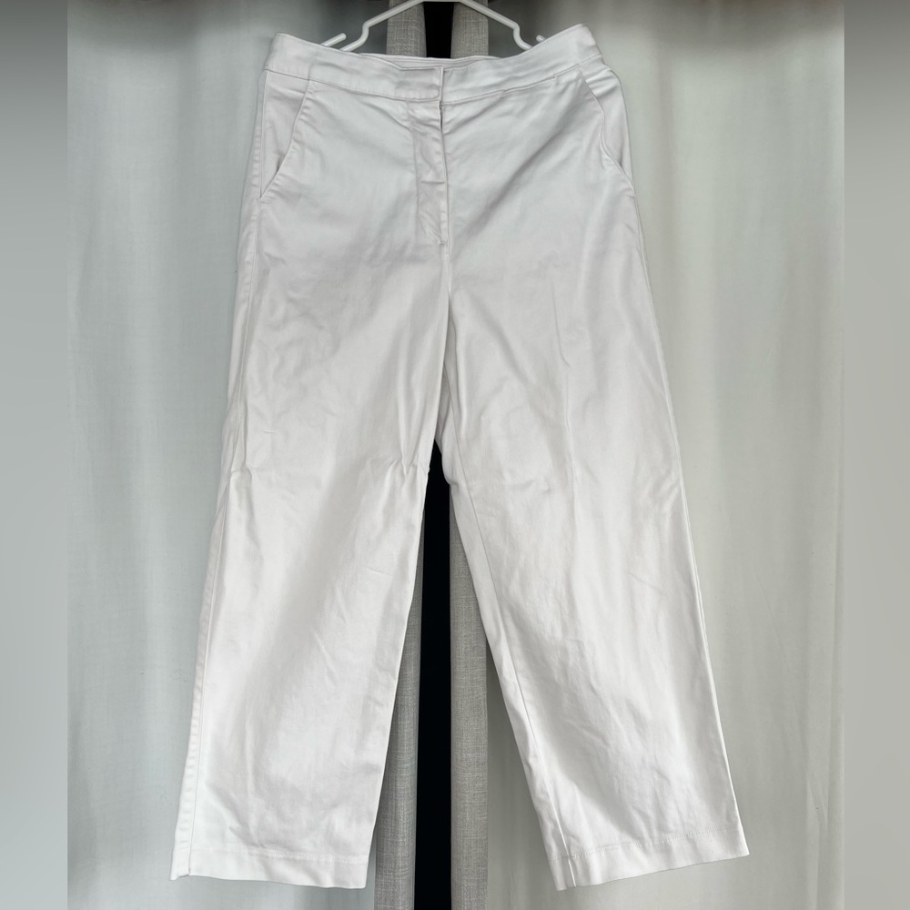 Aritzia/ Babaton Straight Leg White Pants